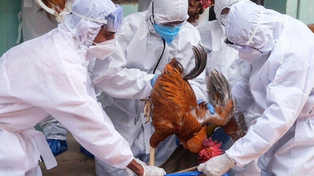 Avian influenza: देश में बर्ड फ्लू की दस्तक! केंद्र ने एवियन इन्फ्लूएंजा को लेकर राज्यों से सतर्क रहने को कहा