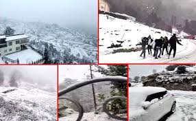 Snowfall: धनोल्टी से लेकर औली, चकराता और नैनीताल में बर्फबारी, सफेद हुईं खूबसूरत वादियां, देखें तस्वीरें